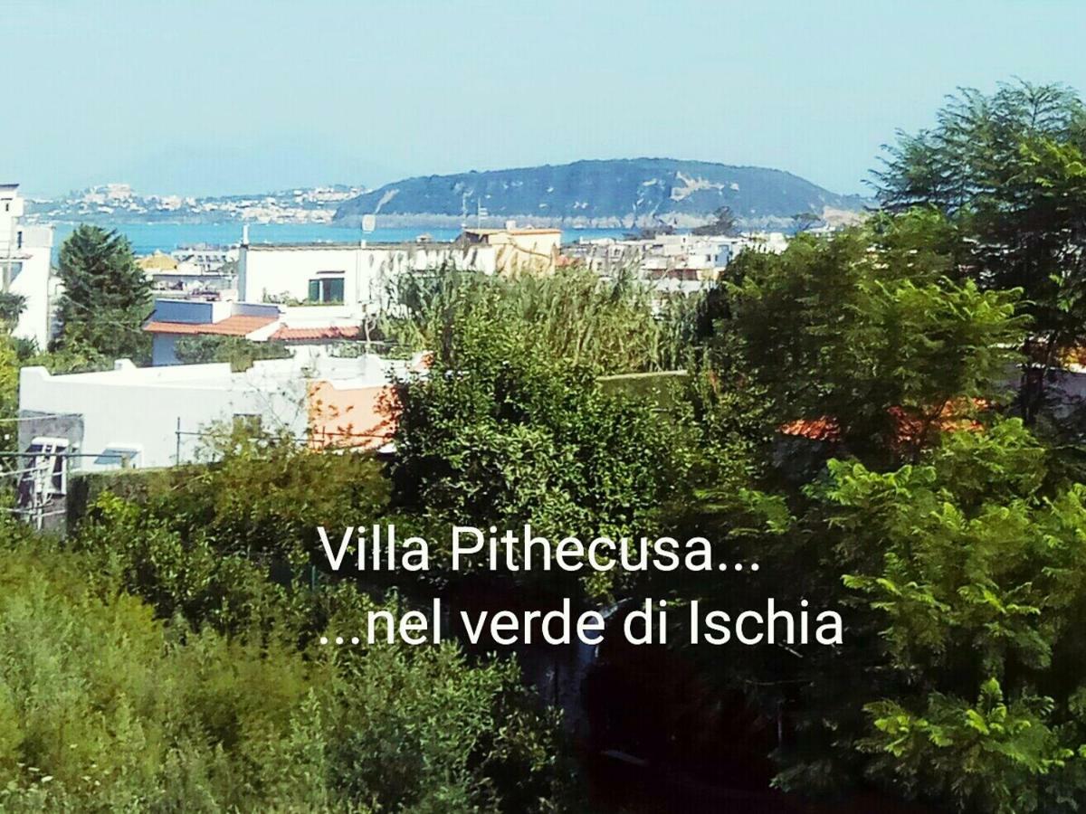 Villa Pithecusa 이스키아 외부 사진